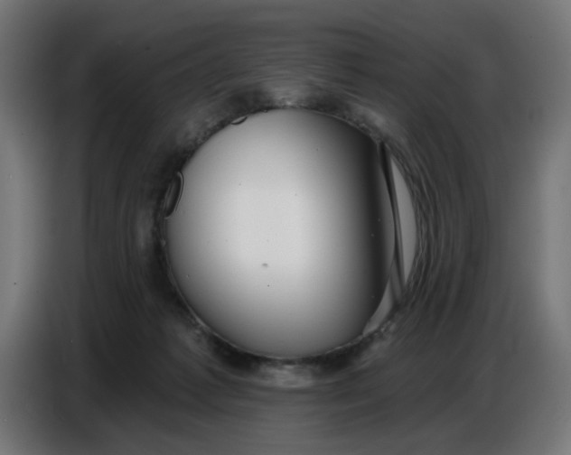 X0000086780221200705041534