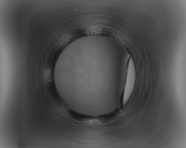 X0000086780224200705041534