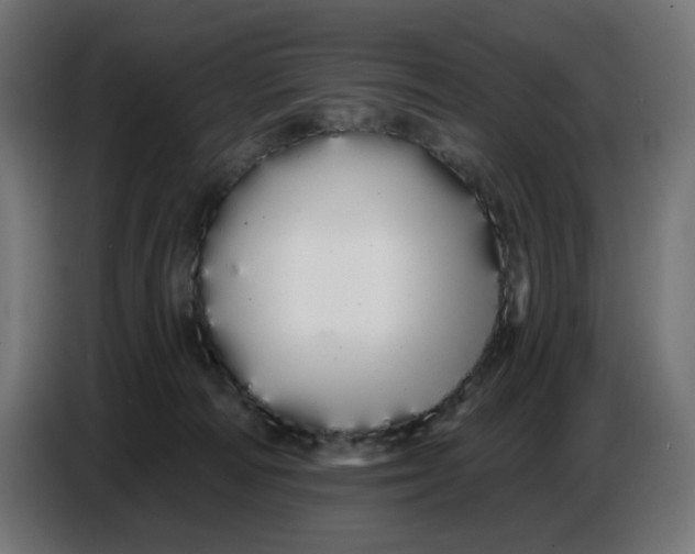 X0000086780226200705041534