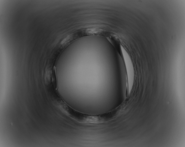 X0000086780227200705041534