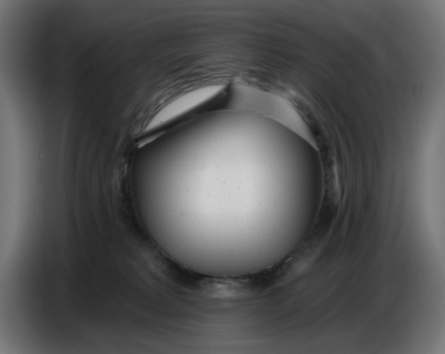 X0000086780229200705041534