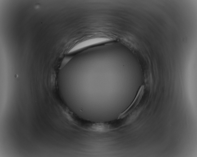 X0000086780231200705041534