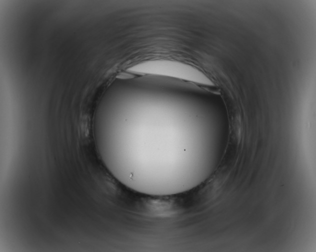 X0000086780232200705041534