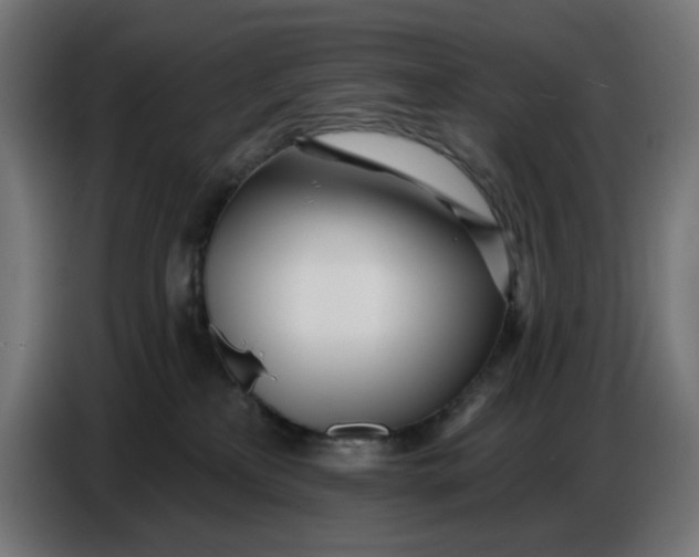 X0000086780233200705041534