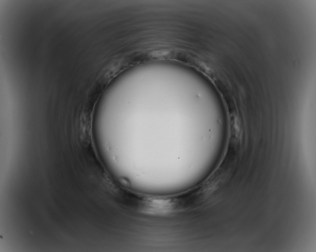 X0000086780234200705041534