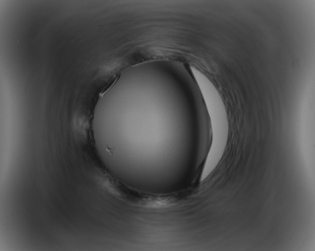 X0000086780235200705041534