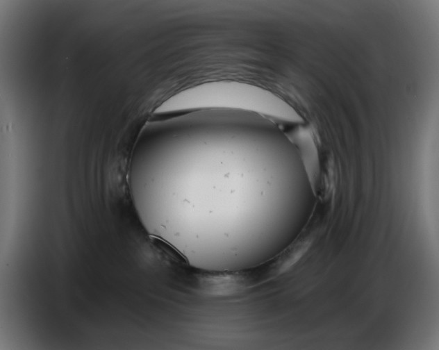 X0000086780237200705041534