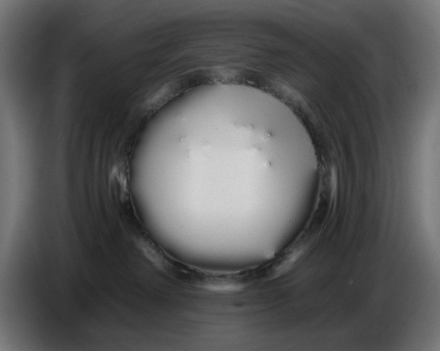 X0000086780238200705041534