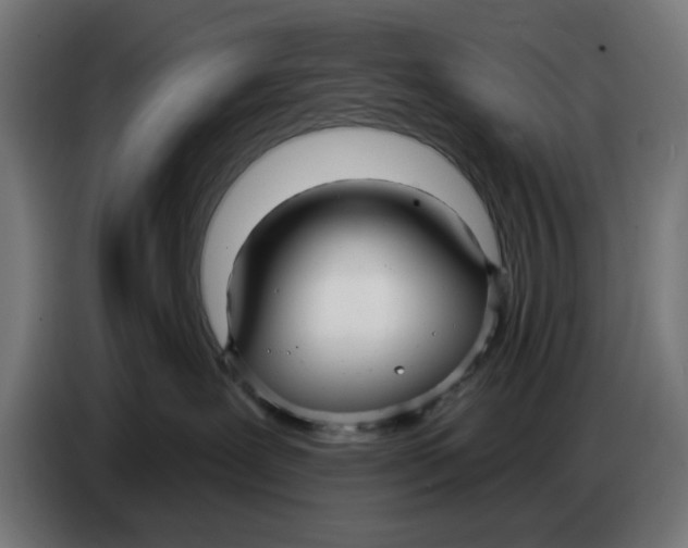 X0000086780239200705041534