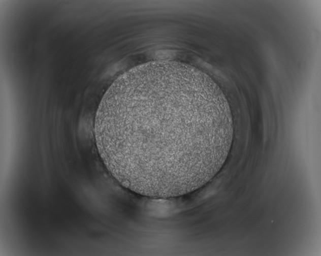 X0000086780240200705041534