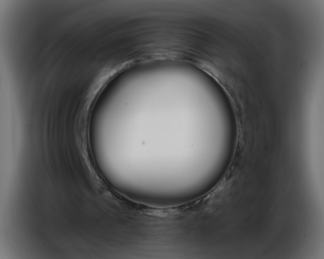 X0000086780241200705041533