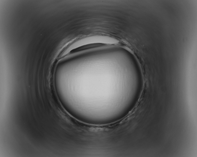 X0000086780242200705041533