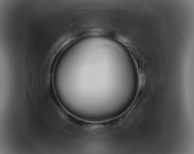 X0000086780243200705041533