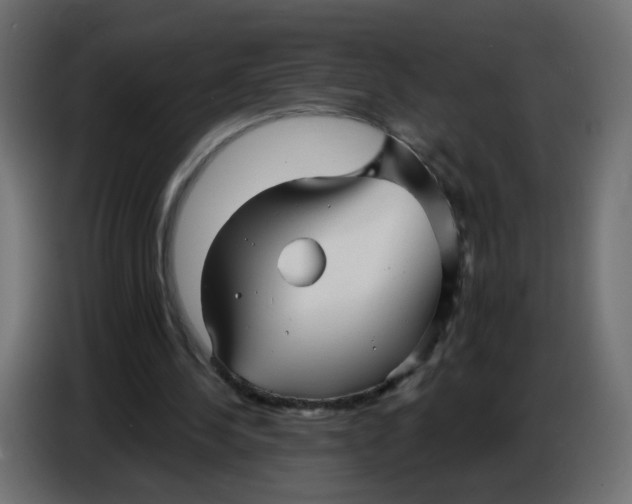 X0000086780244200705041533