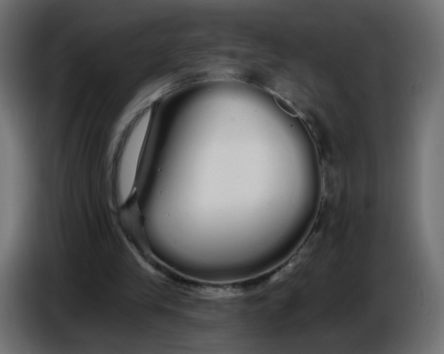 X0000086780245200705041533