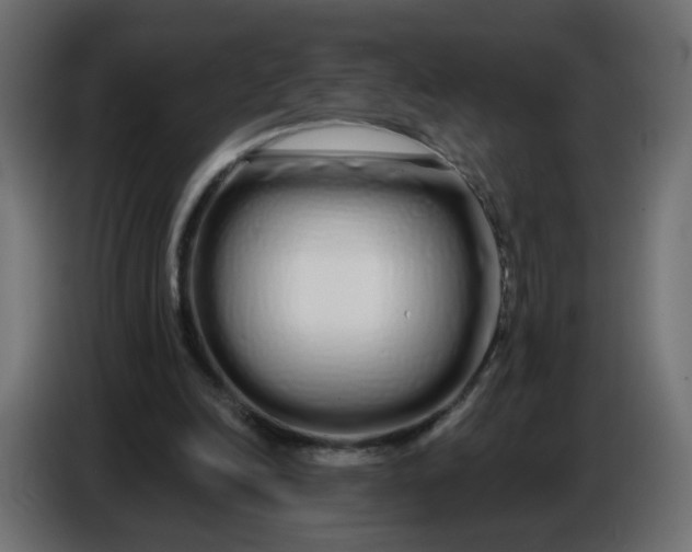 X0000086780246200705041534