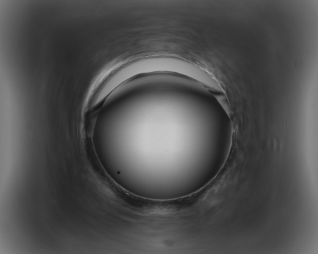 X0000086780248200705041534