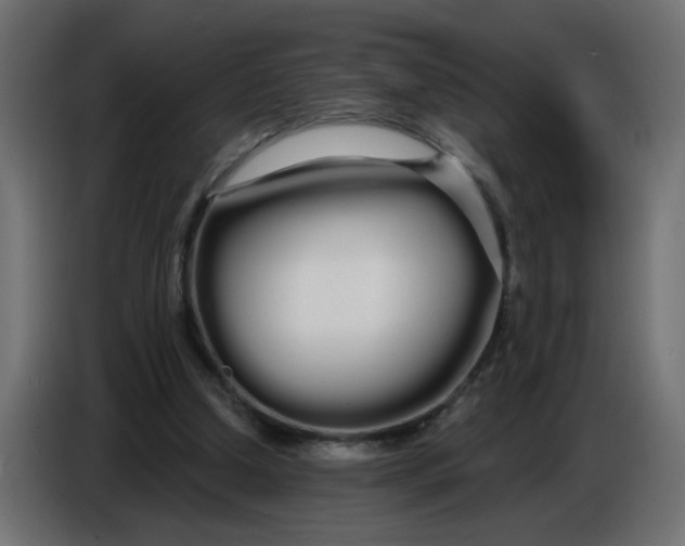 X0000086780250200705041534