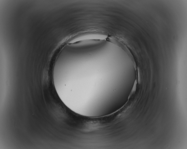 X0000086780252200705041534