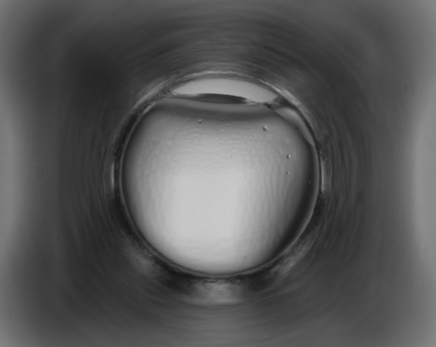 X0000086780253200705041534