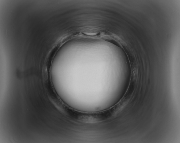 X0000086780254200705041534