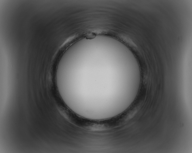 X0000086780256200705041534