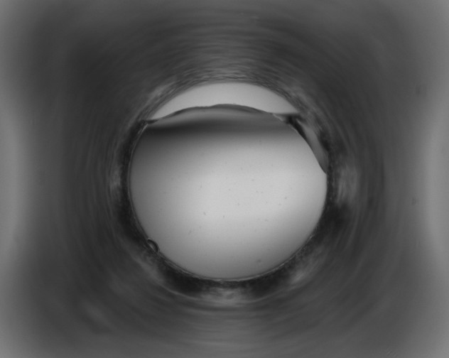 X0000086780260200705041534