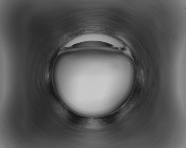 X0000086780261200705041534