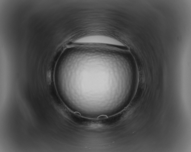 X0000086780262200705041534