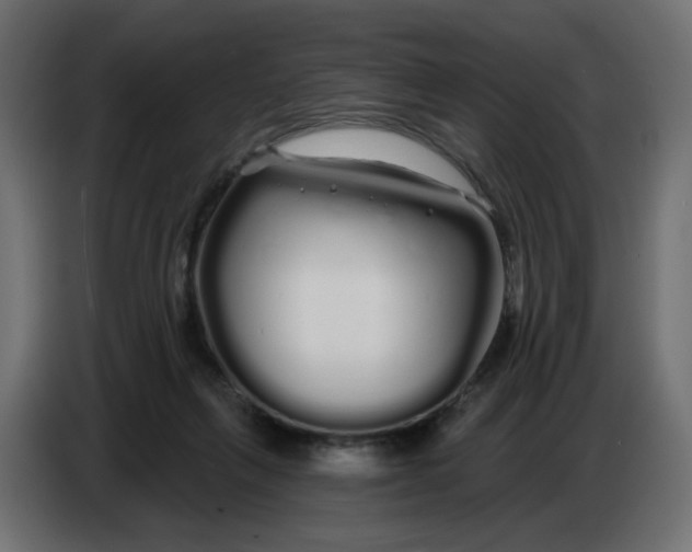 X0000086780263200705041534