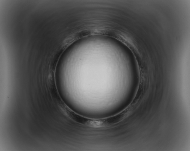 X0000086780265200705041534