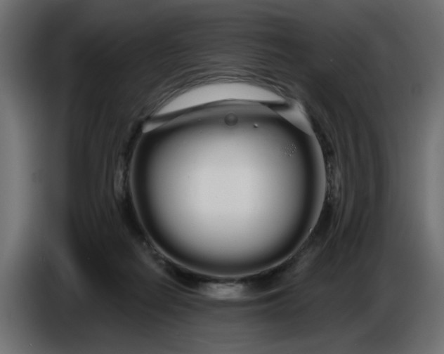 X0000086780266200705041534