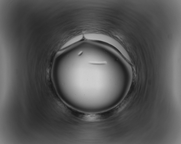 X0000086780269200705041534