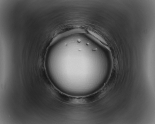 X0000086780270200705041534