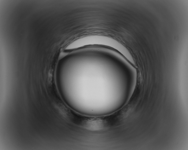 X0000086780271200705041534