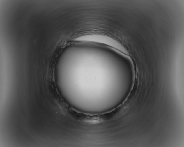 X0000086780272200705041534