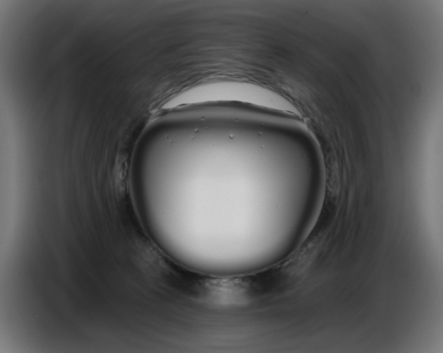 X0000086780273200705041534