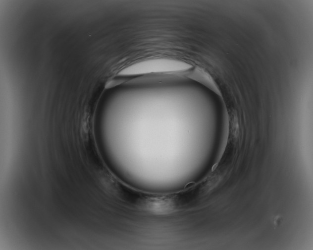 X0000086780275200705041534