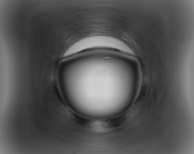 X0000086780277200705041534