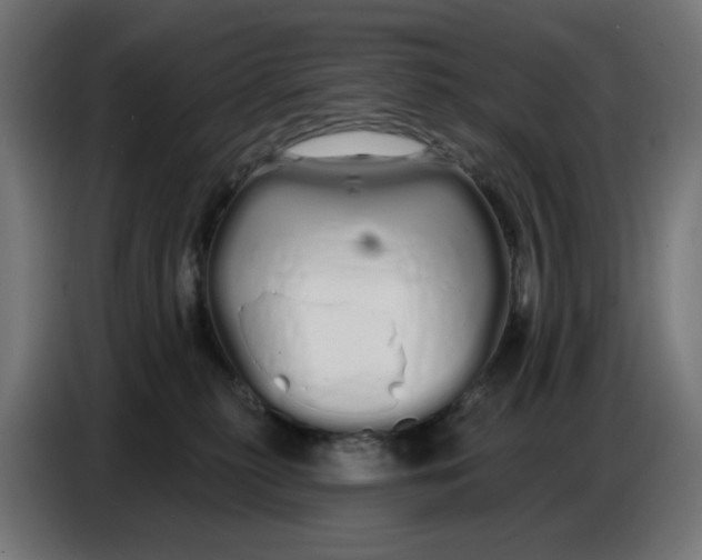 X0000086780279200705041534