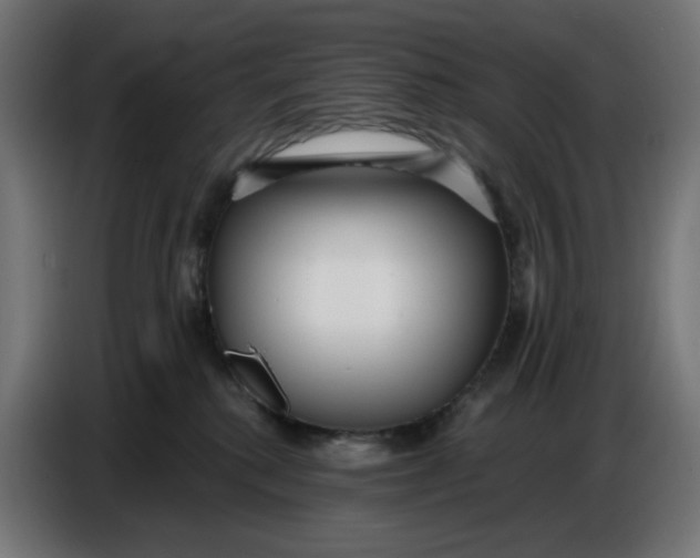 X0000086780280200705041534