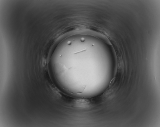 X0000086780281200705041534