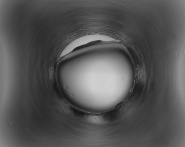 X0000086780283200705041534