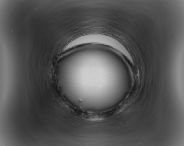 X0000086780284200705041534