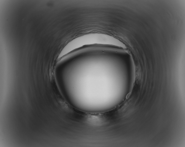 X0000086780285200705041534