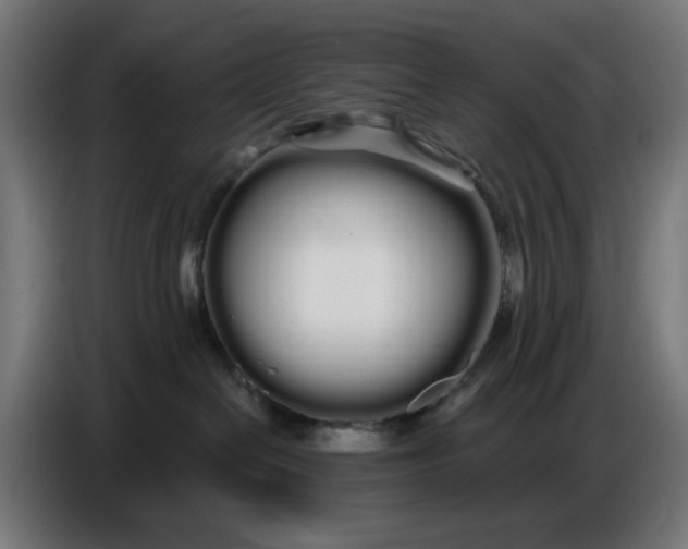 X0000086780286200705041534