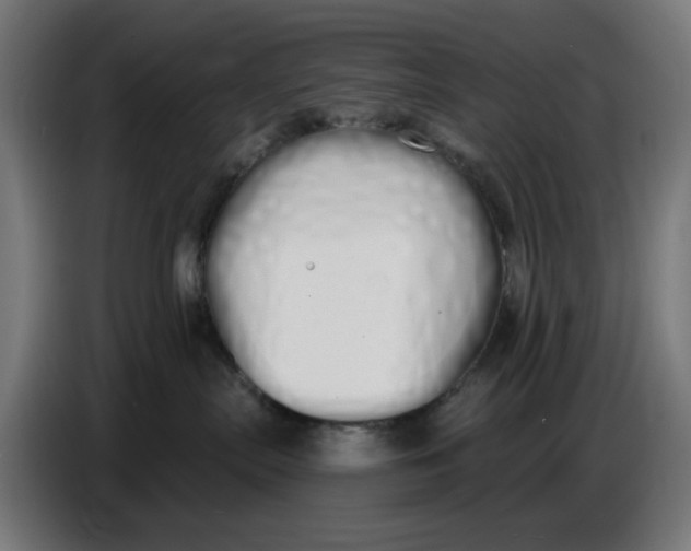 X0000086780287200705041534