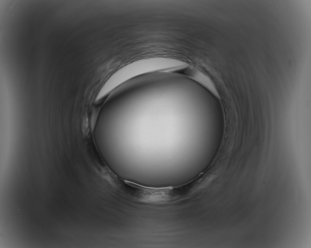 X0000086780288200705041534