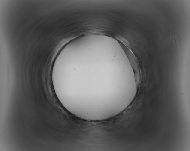 X0000086780289200705041533