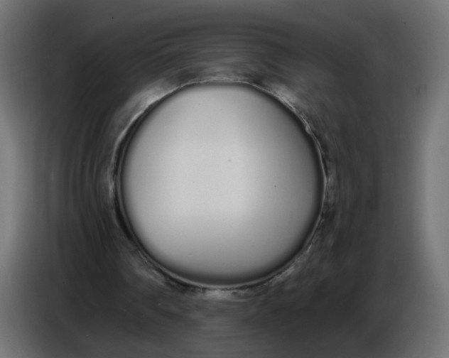 X0000086780290200705041533